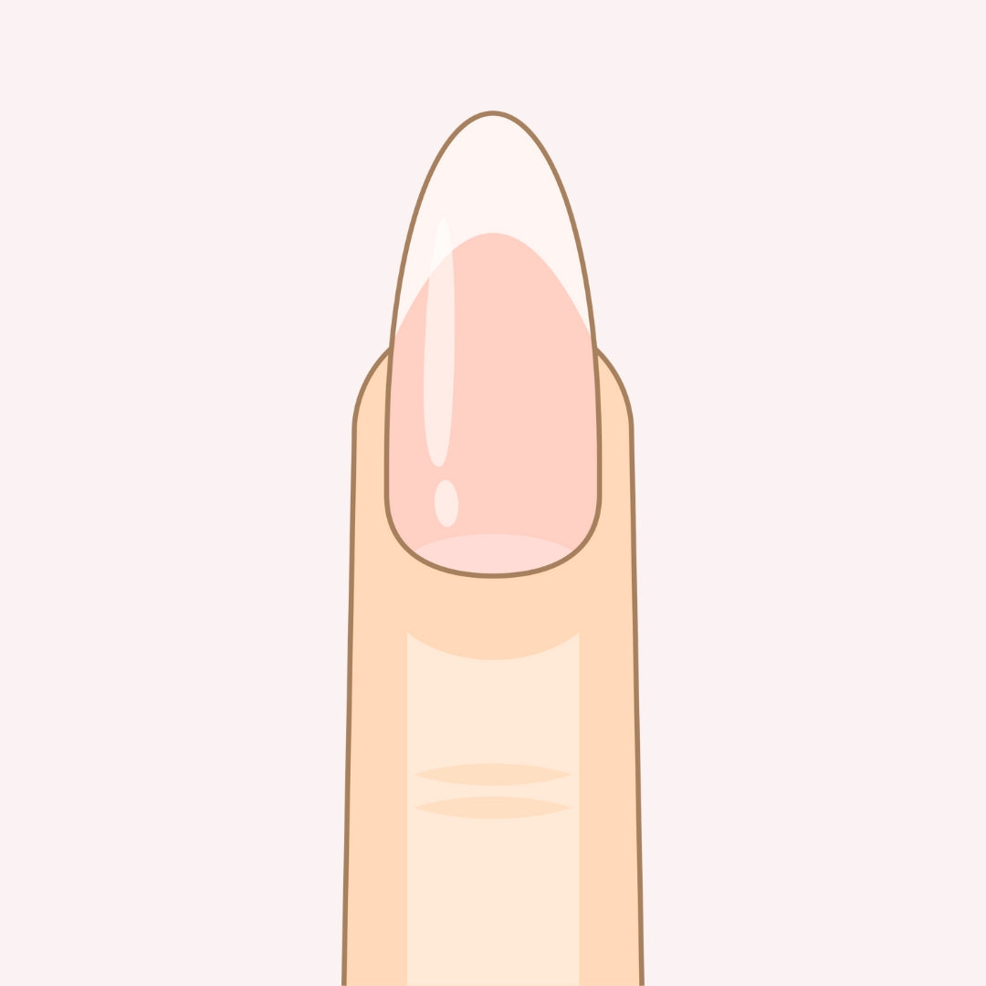 PollyTips - Nail Shape (Almond).