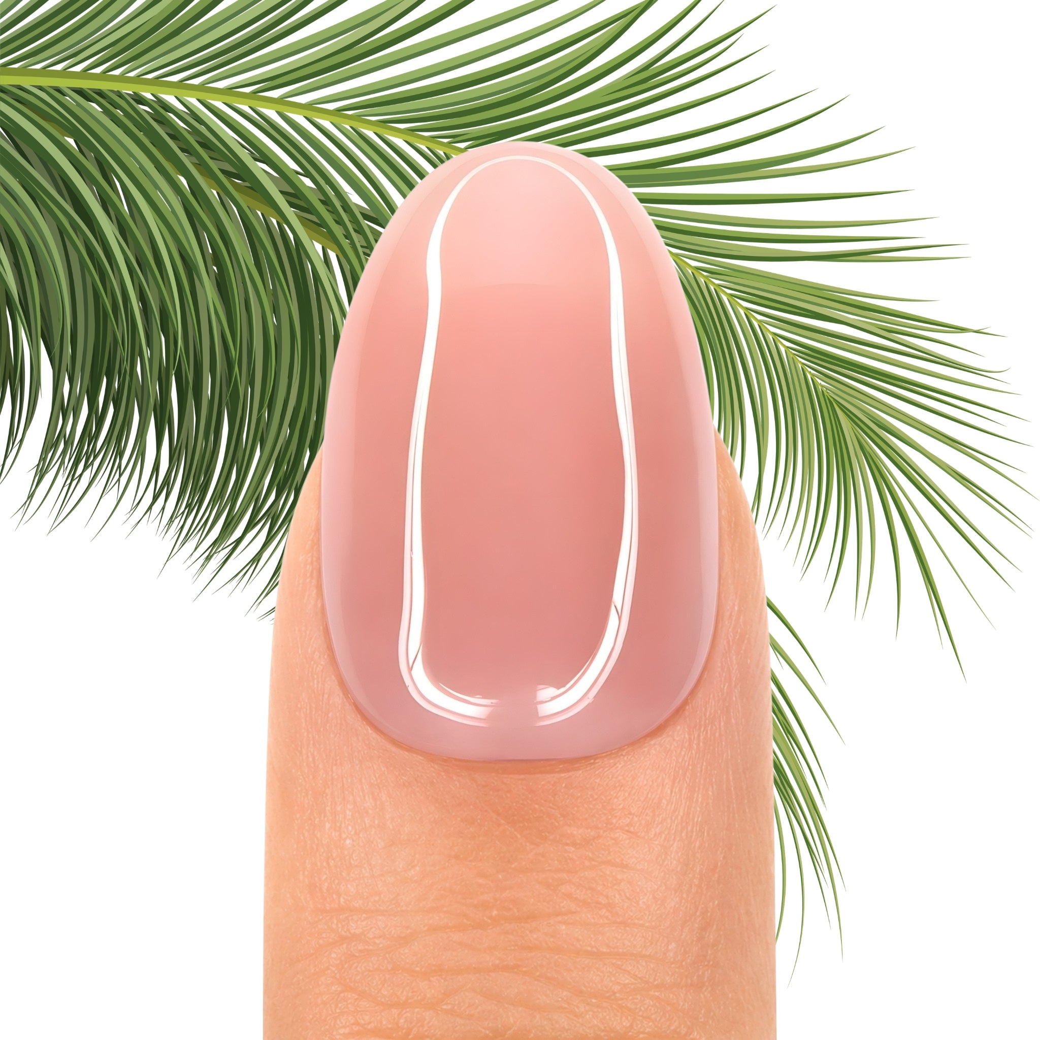 PollyTips - Nude Solid Color named 