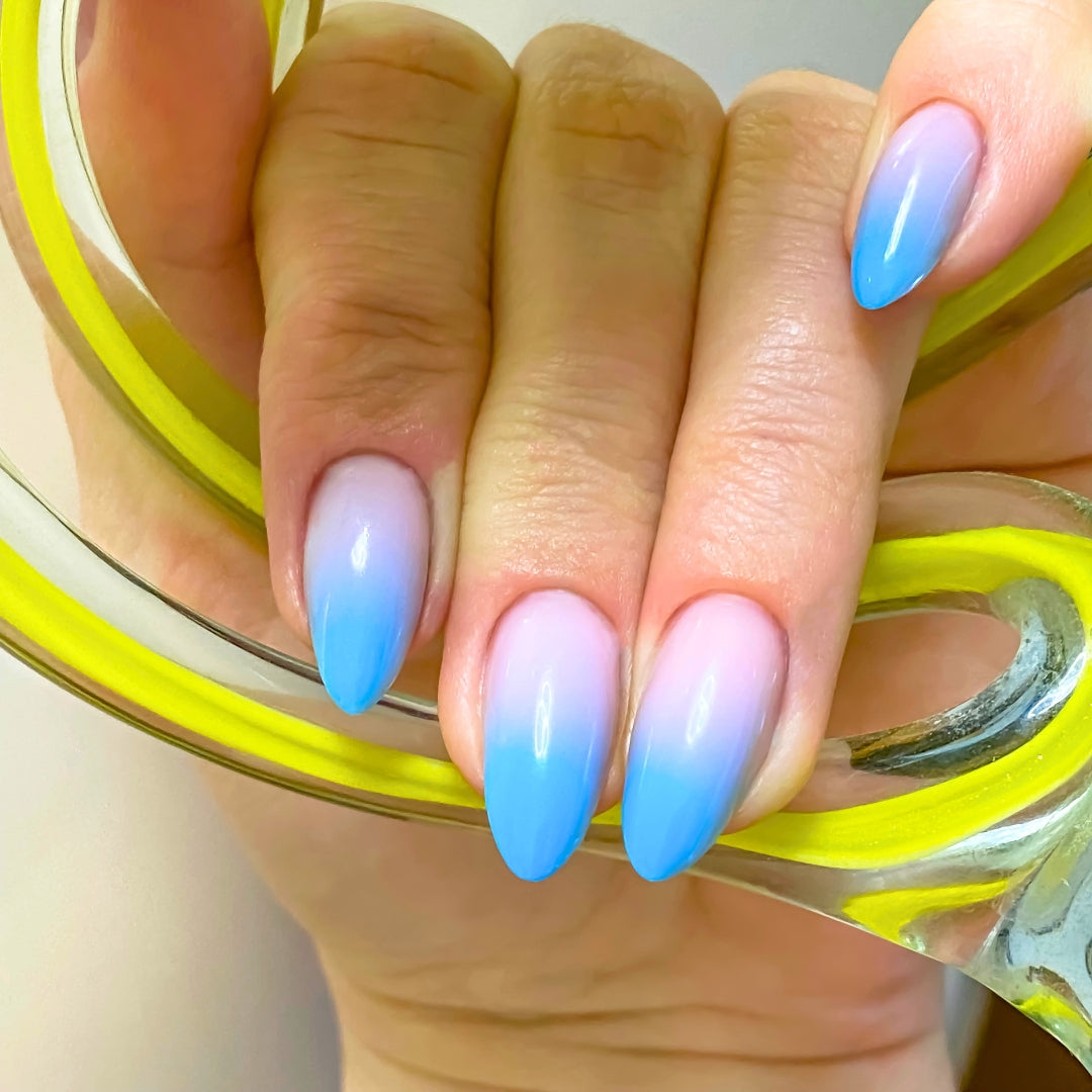 PollyTips - Pricing Image (Custom Moderate).