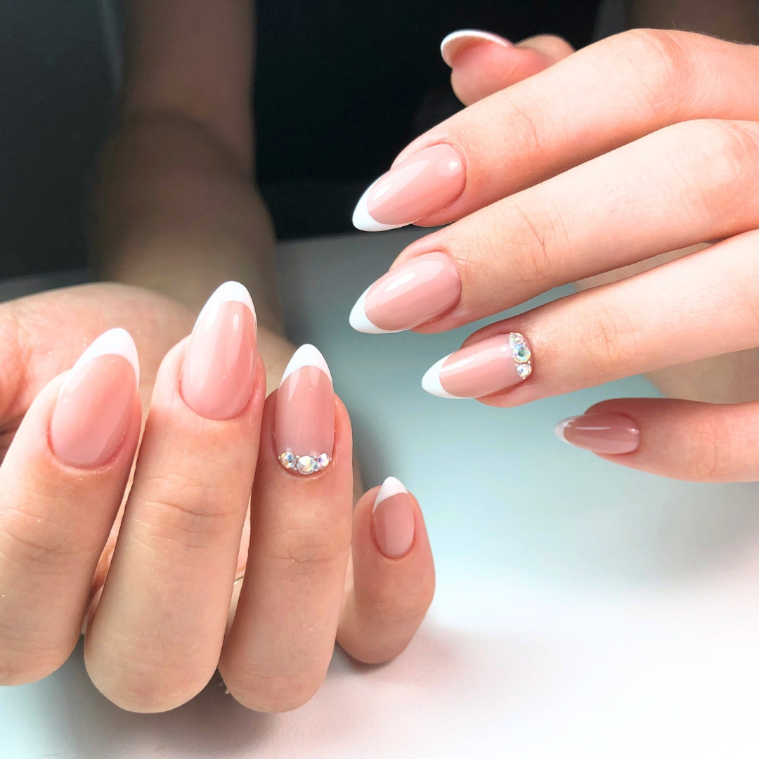 PollyTips - Pricing Image (Custom Simplistic).